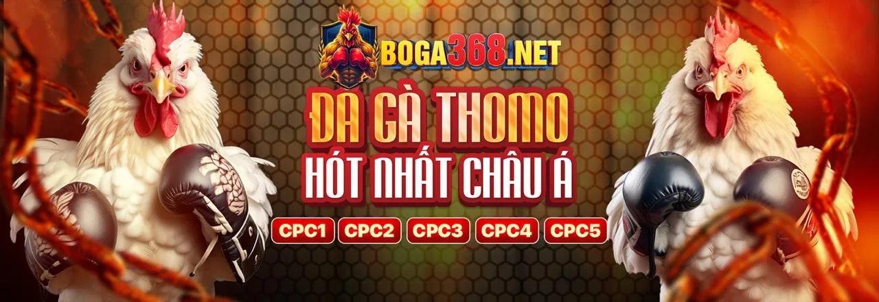 Tổng quan về lợi thế nền tảng 69vn15